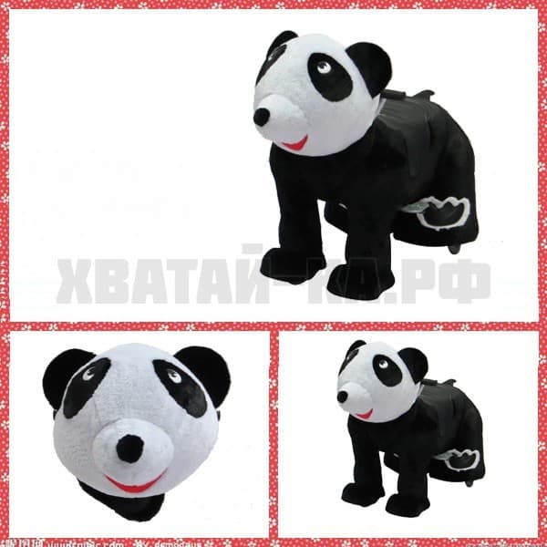 Bear (модель DW06)