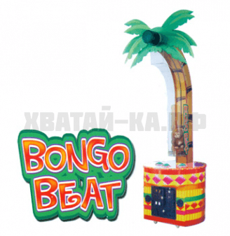 Bongo Beat