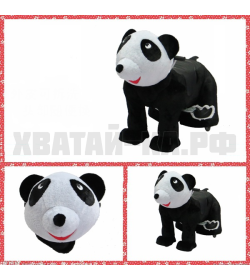 Bear (модель DW06)