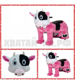 Cow (модель DW53)