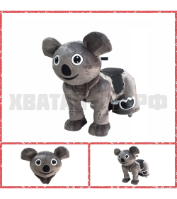 Koala (модель DW66)