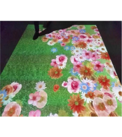 Интерактивная проекция пола