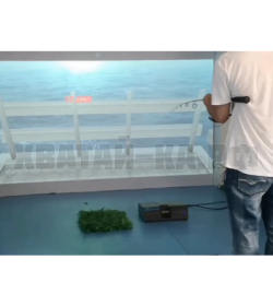 Интерактивная рыбалка