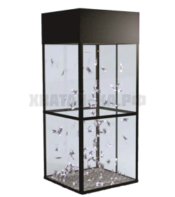 Денежная кабина для розыгрыша денег