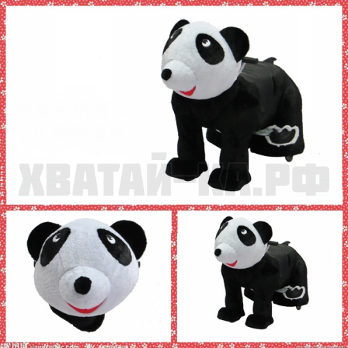 Bear (модель DW06)