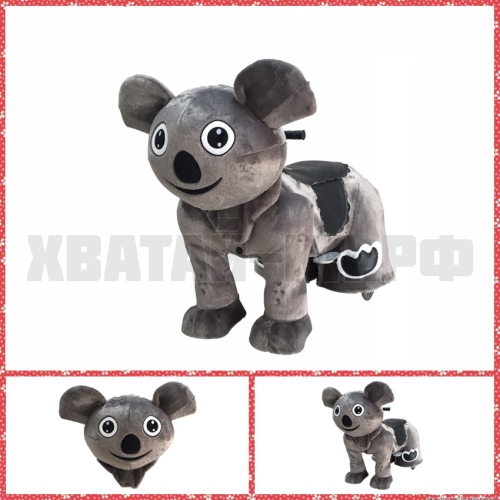 Koala (модель DW66)