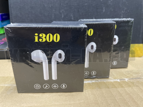 i300