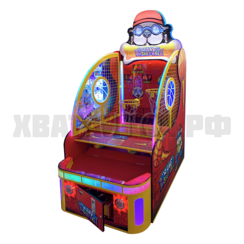 Ван Баскетбол